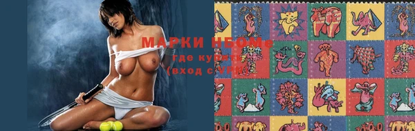 стаф Баксан