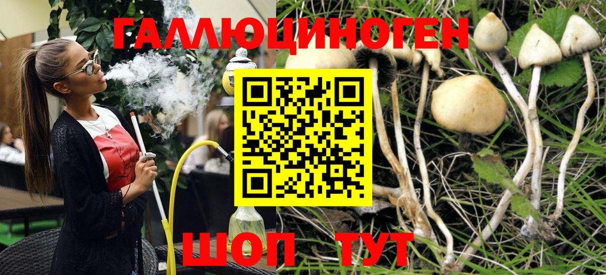 Галлюциногенные грибы мухоморы Долгопрудный