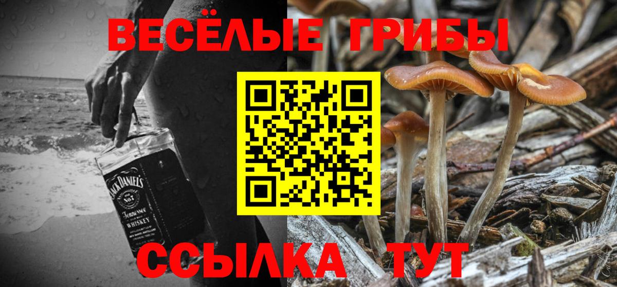 наркотики  Вход с VPN  Долгопрудный  Галлюциногенные грибы Magic Shrooms 